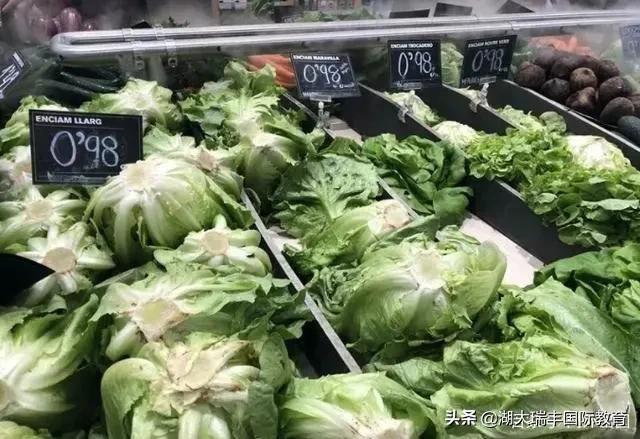 2021西班牙留学申请技巧解读,大专西班牙留学申请条件