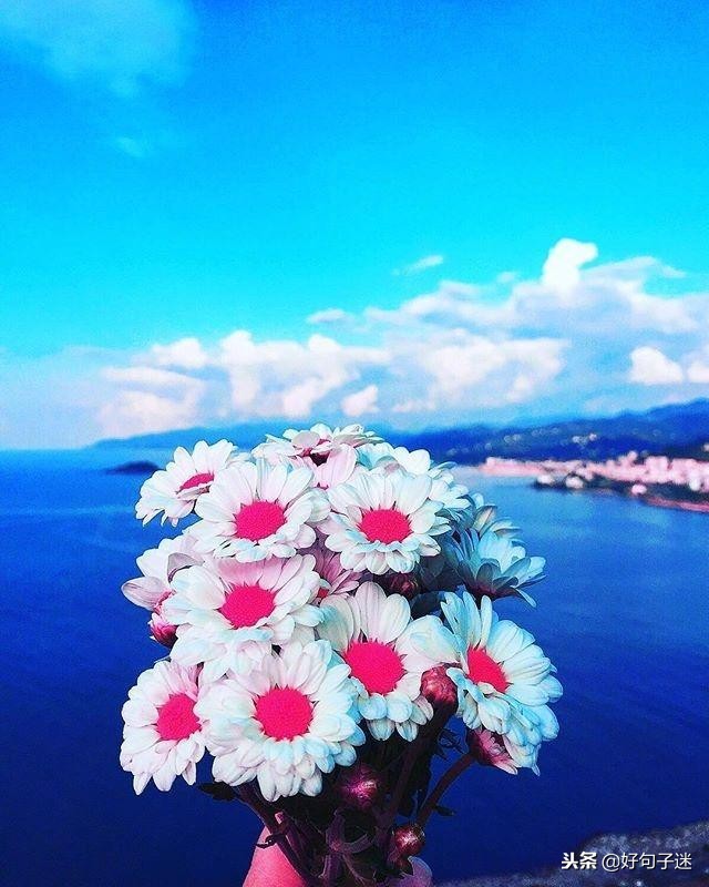 早安经典语录发朋友圈,早安正能量接地气简单语录