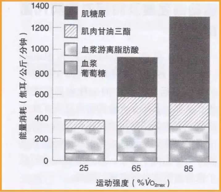 减肥最快的方法5天瘦十斤的视频,减肥最快的方法5天瘦十斤减肥操