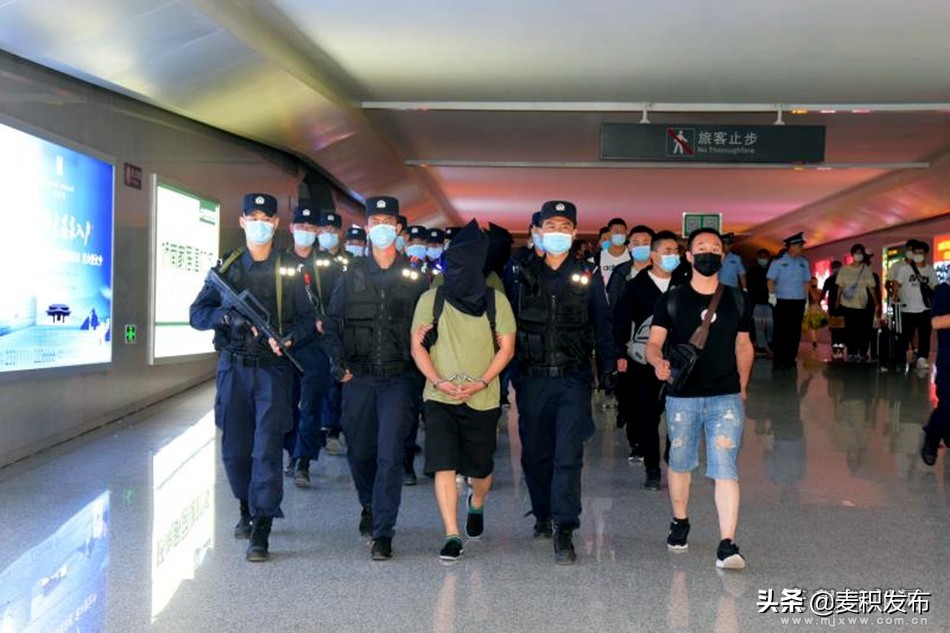 天水公安最近破获电信诈骗案,天水市电信诈骗最新消息