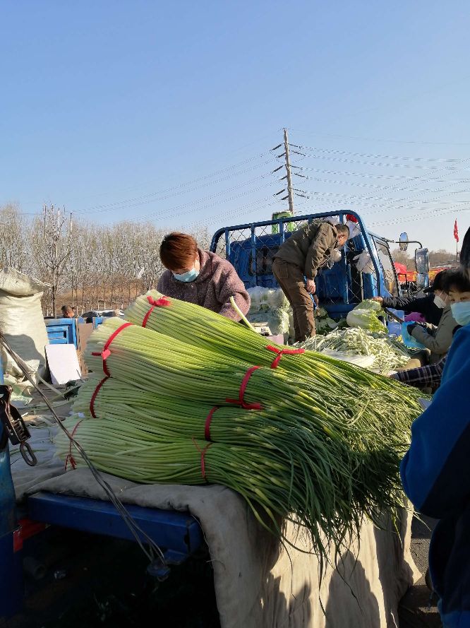 阜新东风路大早市,阜新东风路早市牛肉