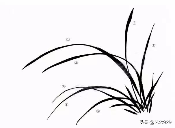 国画兰花画法免费技法教程,国画兰花绘画图