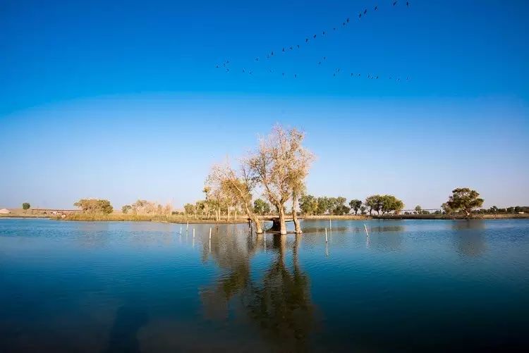 罗布泊楼兰故地地球之耳,若羌地球之眼