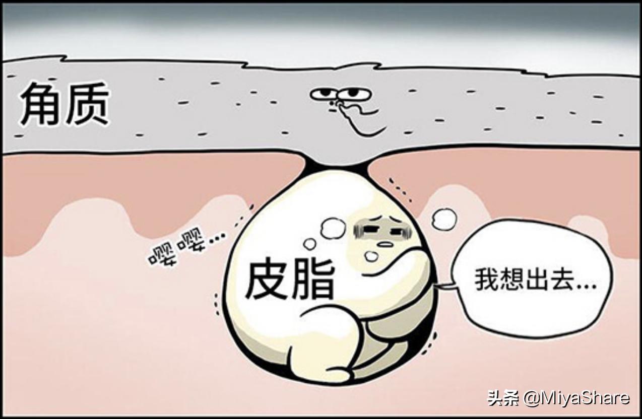 祛痘推荐学生最好用的产品,祛痘产品推荐学生平价精华