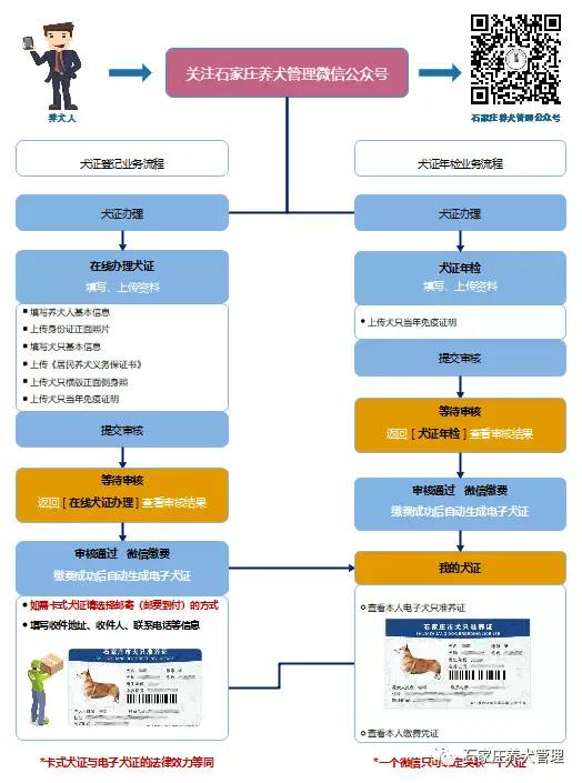 石家庄犬证提前多久年检,石家庄犬只准养证年检