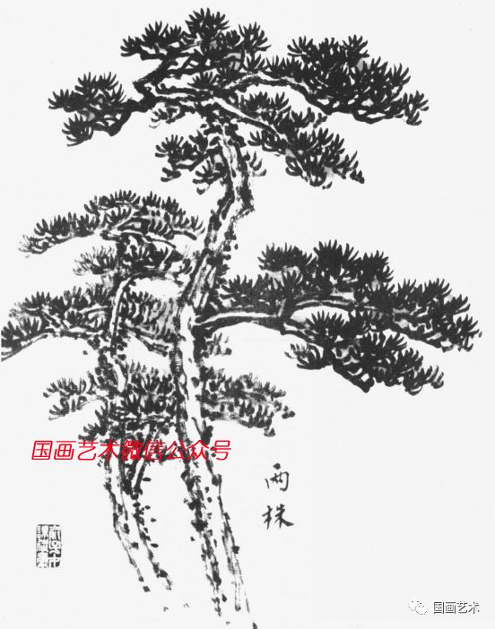 俞子才画松视频,如何快速画松树国画