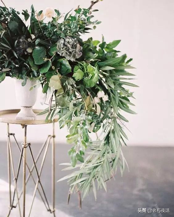 十种驱蟑螂的有效方法,驱虫药驱蟑螂真的有效吗