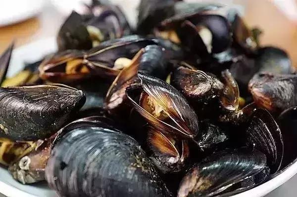 宁波一渔民整理海鲜大全,宁波最全的海鲜