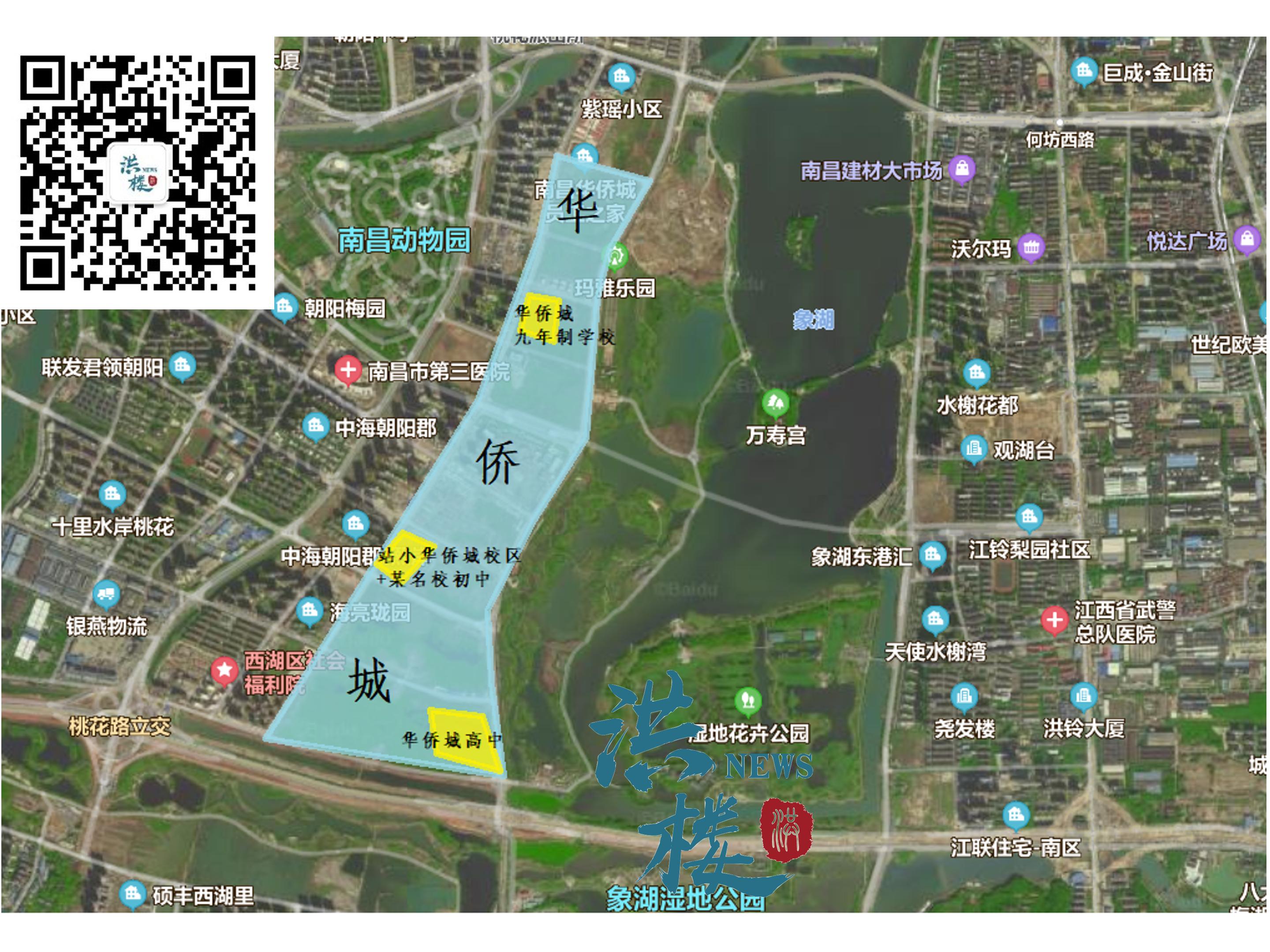 必看！朝阳+九龙湖学区全整理！黄金双区购房必备指南