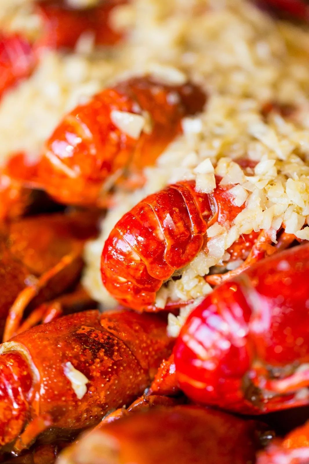 半个娱乐圈都打卡的眼镜小腰在簋街开店了！竟然3天五折！