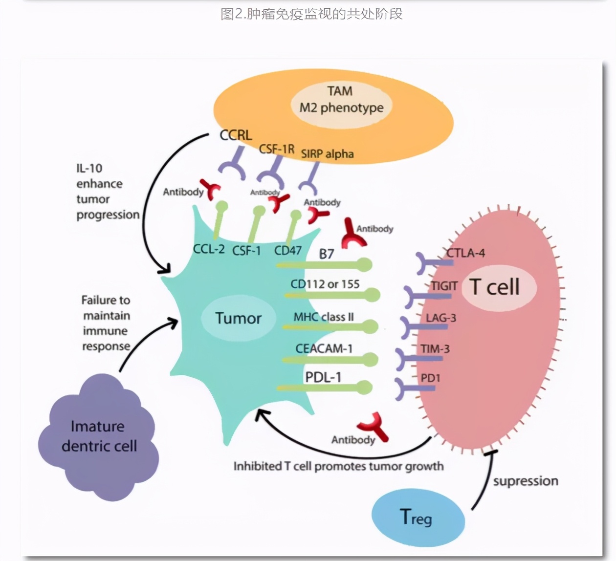 甲状腺癌晚期淋巴转移,甲状腺癌晚期全身酸痛