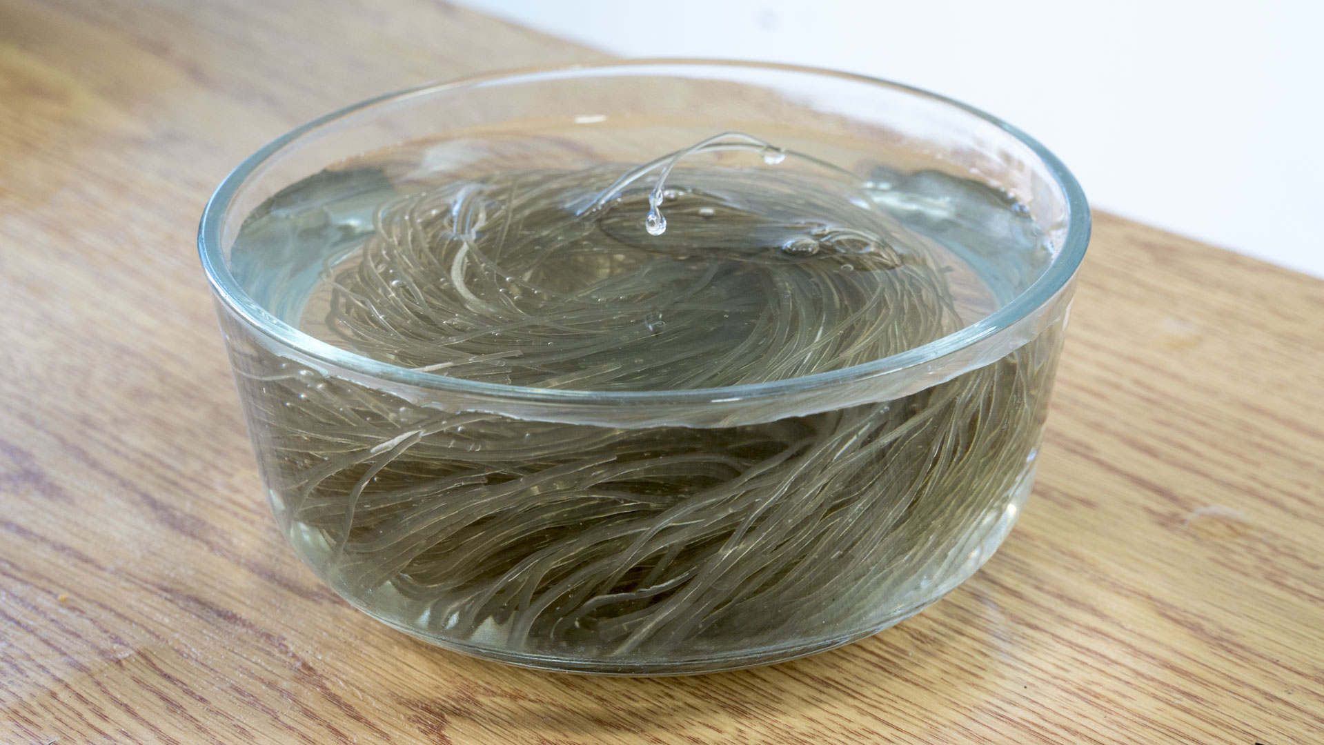 冬季12道滋补炖菜冬天食补不重样,适合冬天吃的炖菜南方