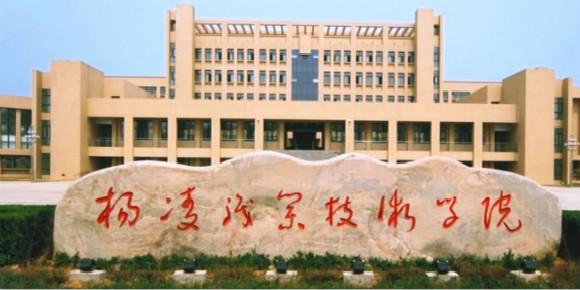 就业前景好的专科院校有哪些,比本科还好就业的专科院校推荐