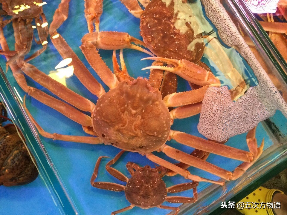 青岛市场帝王蟹种类,海鲜市场都有什么海蟹品种
