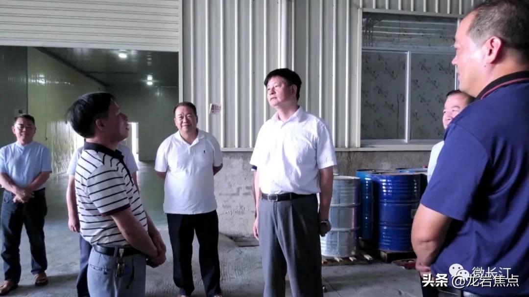 不断提升农产品附加值,闽西长汀县槟榔芋基地