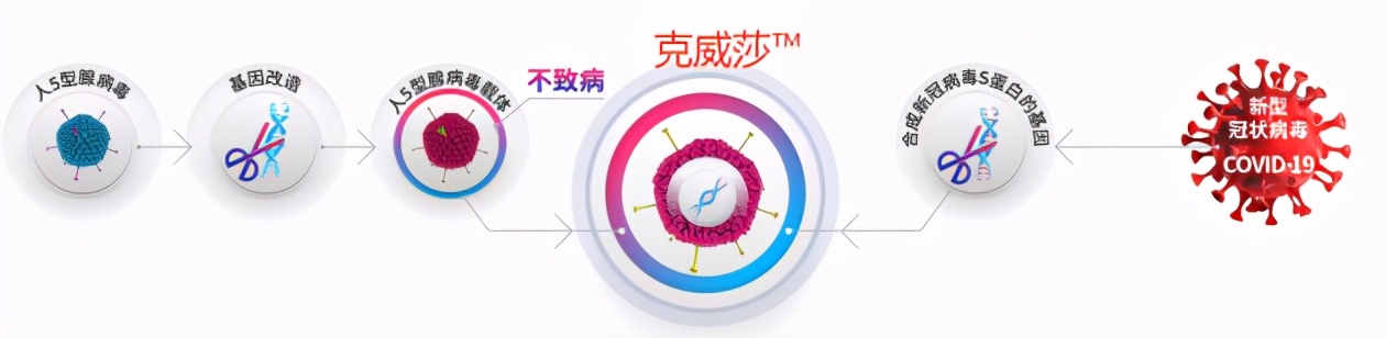 腺病毒新冠疫苗种类,新冠疫苗第三针腺病毒反应