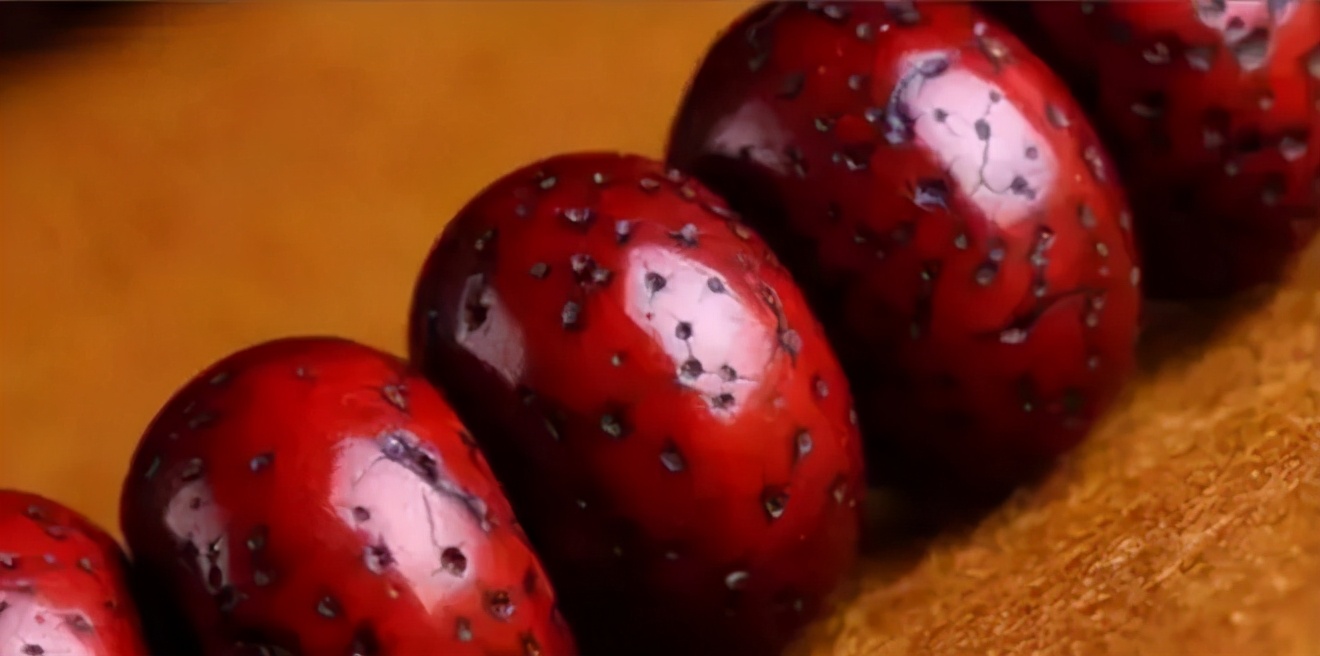 星月菩提中最高形态,星月菩提各个时期的变化