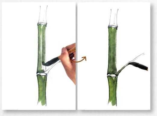 国画基础教程竹子的画法,竹子国画画法教程