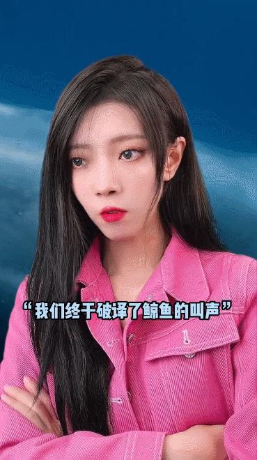 抖音做什么赛道最容易涨粉,抖音30日内涨粉榜