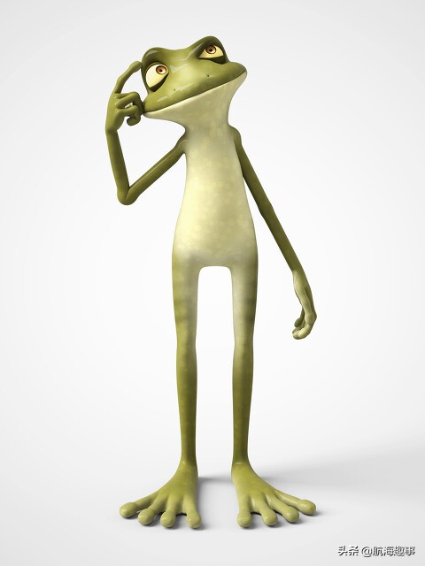 航海故事视频,航海王故事内容