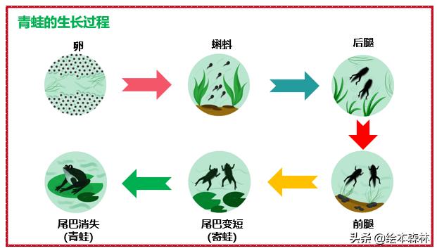 思维导图流程图制作方法,思维导图流程图一样吗