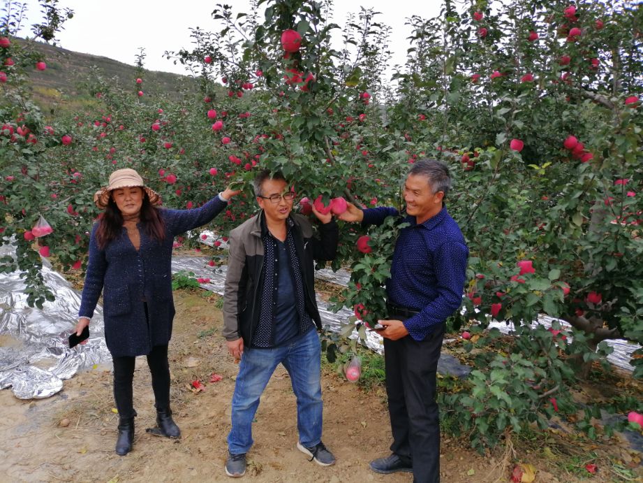 节后总结语,节后白话怎么讲