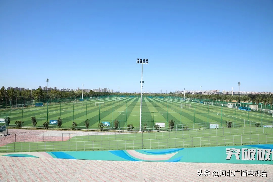 寮哄己鑱斿悎鍗忓悓鍓嶈,寮哄己鑱斿悎鍏卞垱鏈潵鍙戝睍