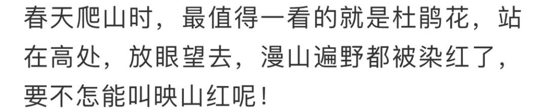 看到花的时候,不知是什么花?那就收下这份百花图谱