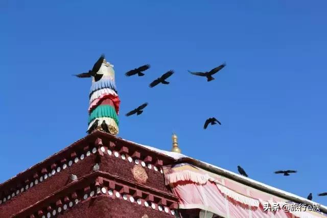 我想带你去*藏西**，行到水穷处，坐看云起时