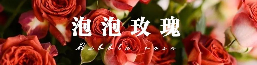 花店常用玫瑰花品种大全,一篇文章带你认识三亚40种花