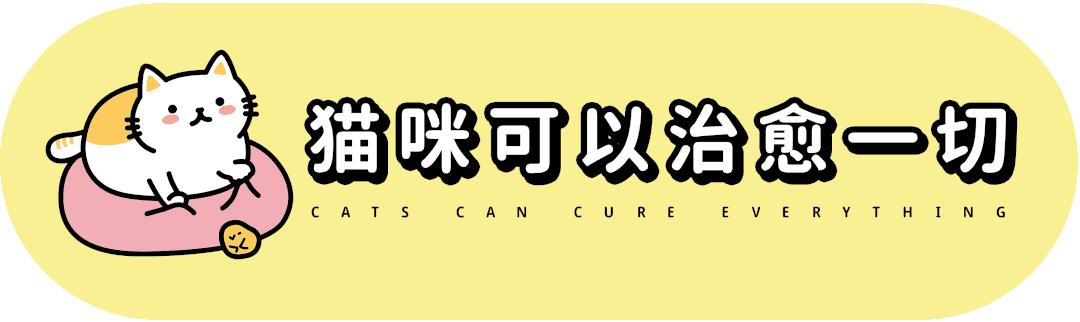 战斗民族的猫就是虎,战斗中的民族猫