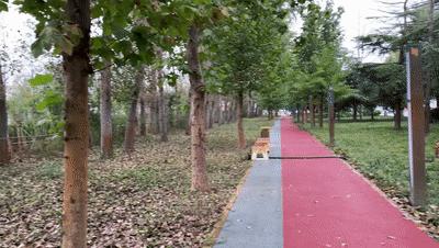 百年老院发新芽！市属医院北扩填空白，郑州市三院北院区开诊