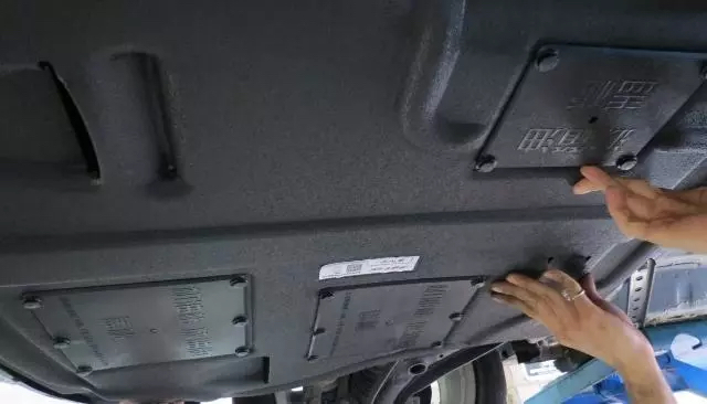 这个冬天流浪猫们要怎么度过,天冷了流浪猫