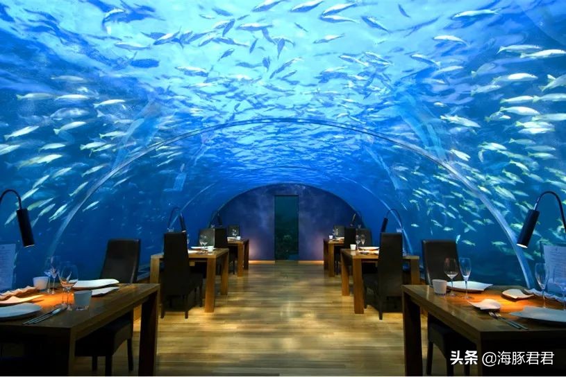 2020马尔代夫最全旅游购物攻略,马尔代夫旅游攻略超详细