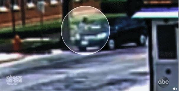 美国章莹颖纪录片2020完整视频,美国伊利诺伊州章莹颖