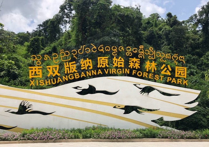 西双版纳环途旅游,西双版纳旅游度假攻略