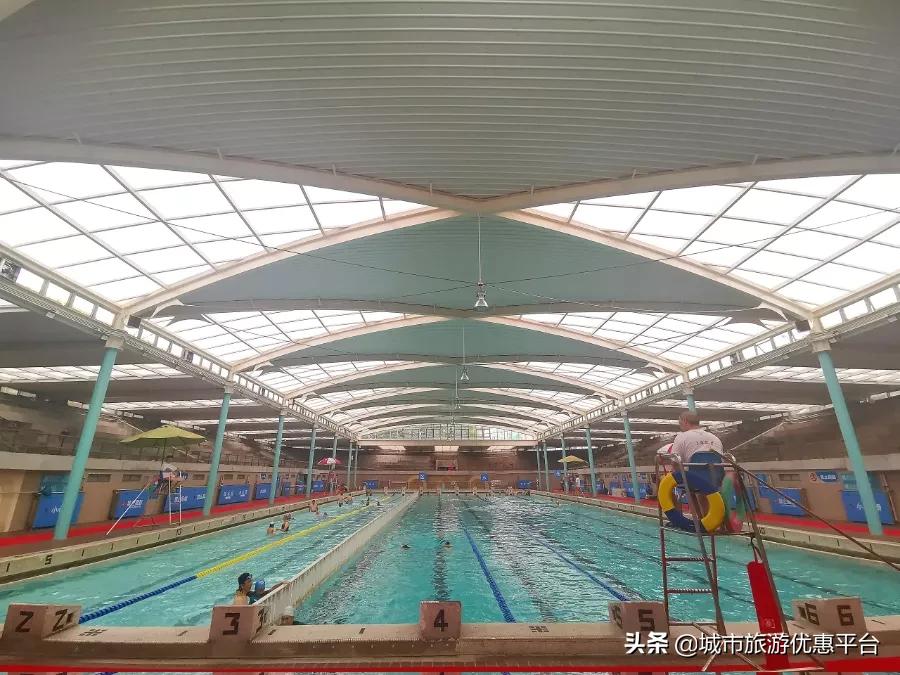 收藏游泳视频下载,冬季游泳大全