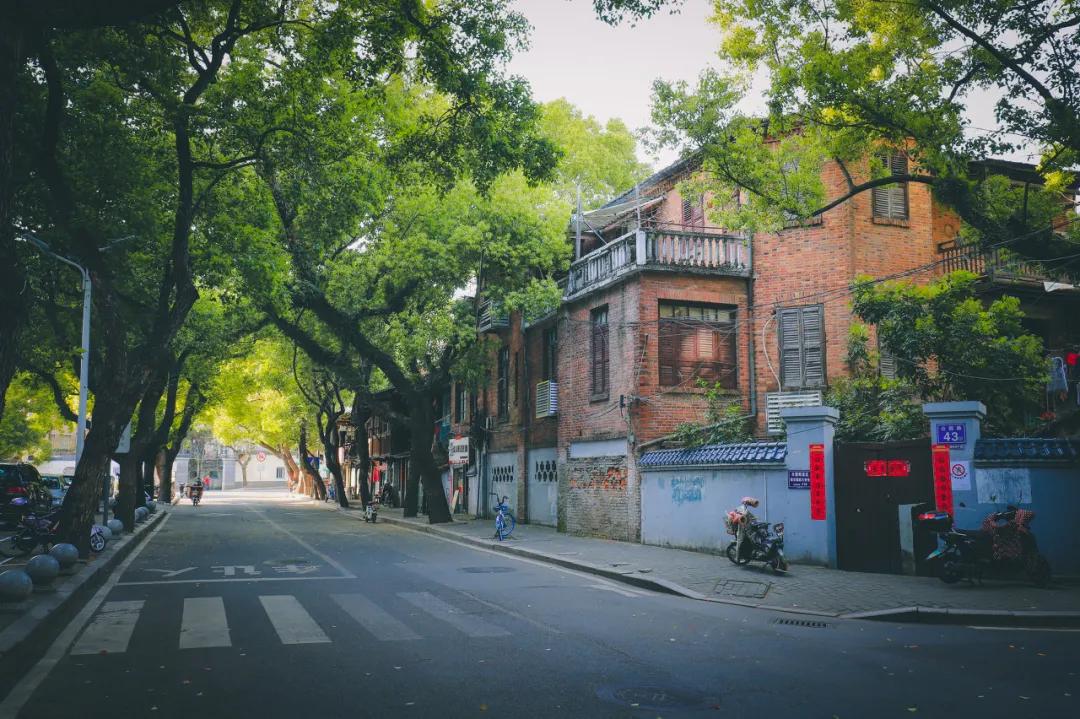 福州一座会让人怀念的城市,福州一座宝藏小镇