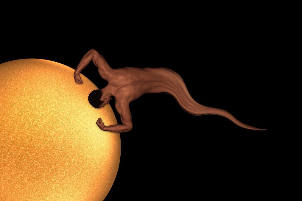 怎样分辨x和y精子,x精子和y精子的比例