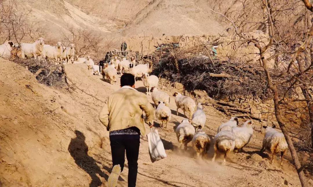 把泳池搬进沙漠,圈黄河做庭院,一个男人的西部世界,可以有多野