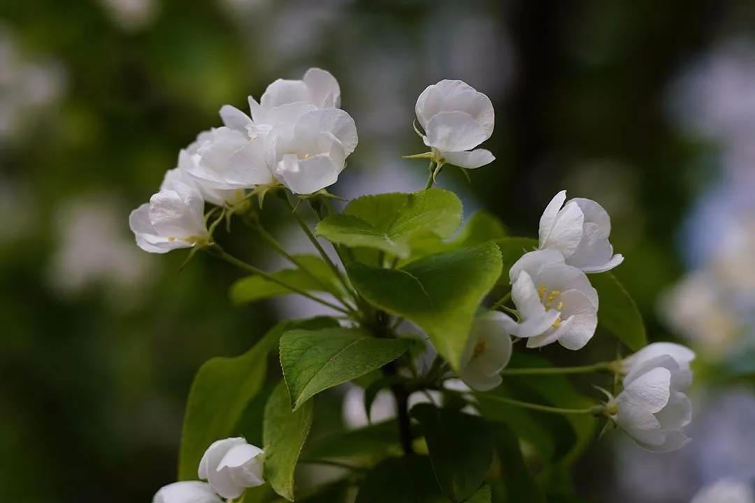 交作业啦！转接环大作战，战果展示第一章
