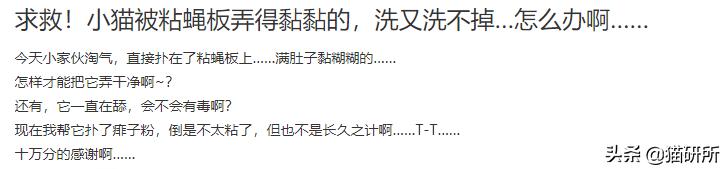 猫咪沾油怎么洗,猫咪沾满衣服怎么洗