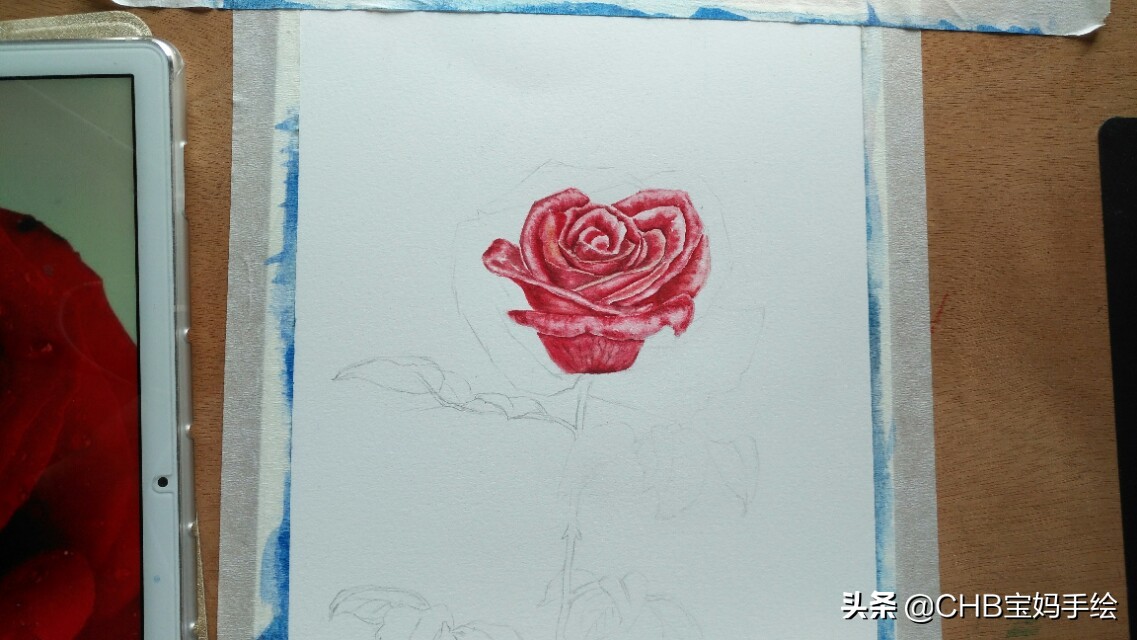 水彩画初学者零基础教程玫瑰花,水彩画教程入门玫瑰花慢教程