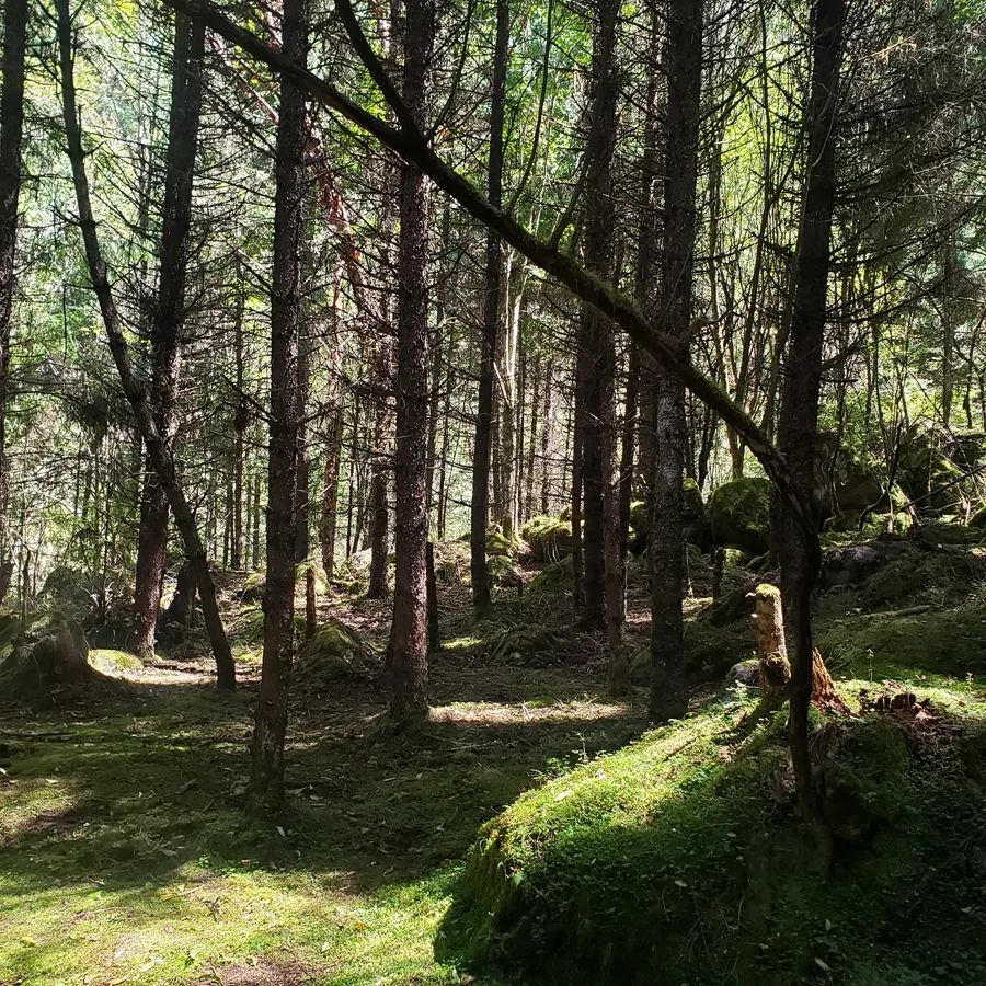 国庆成都周边旅游攻略推荐,成都周边旅游国庆2-3天推荐地方