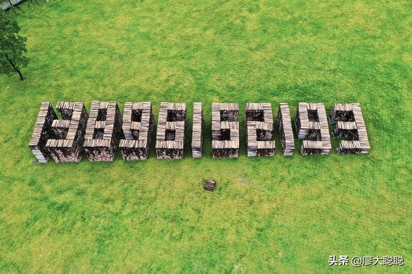 重庆这片花海你还没有来打开，那你就输了