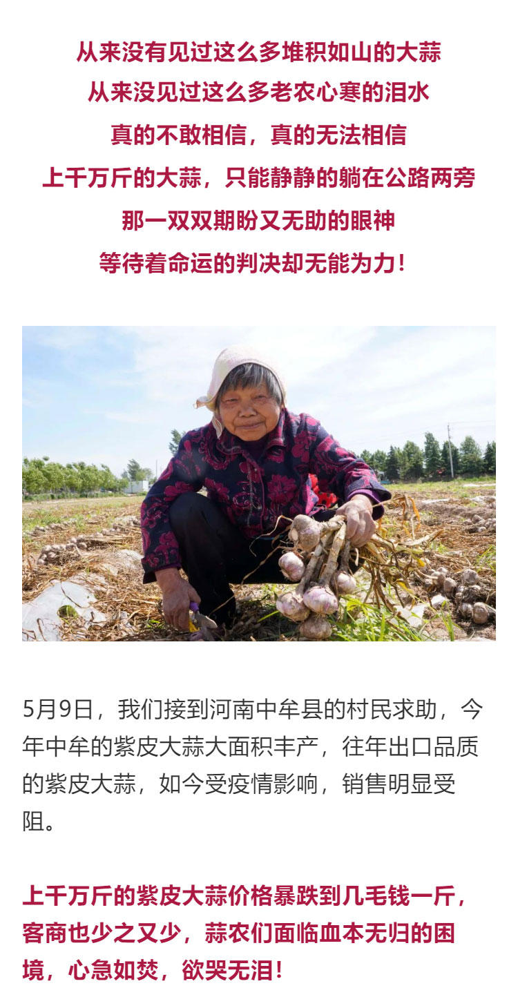 鍔╁啘鐧惧崄涓囦憨婊為攢澶ц挏,绱毊澶ц挏椴滆挏鍔╁啘5鏂よ