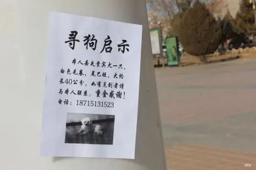 有了这个证,必要的时候可以救狗狗一命