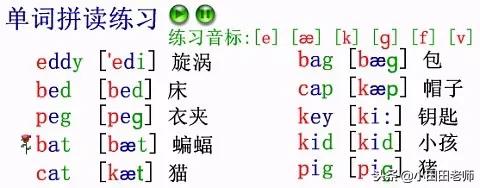 48个英语国际音标发音表高清图片,英语48个国际音标正确读法与讲解
