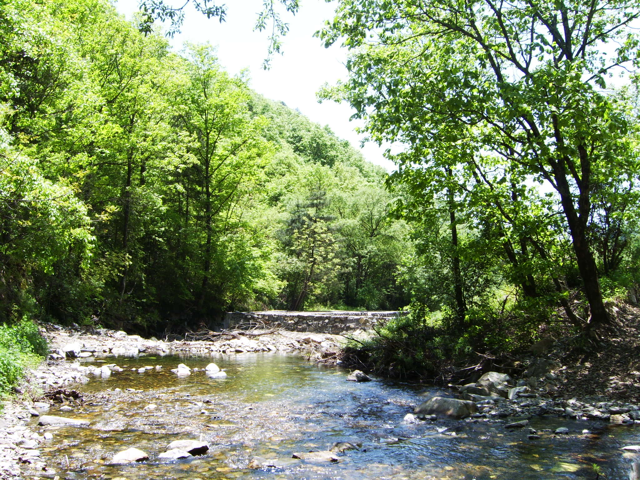 怎么样才能做到有钱有闲,有钱有闲可以做什么