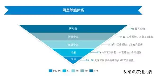 bat和tmd校招薪资怎么样,一文看懂工资永远不够用